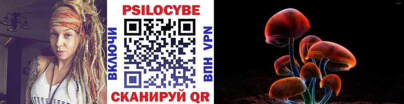 закладки  Шали  Псилоцибиновые грибы прущие грибы 